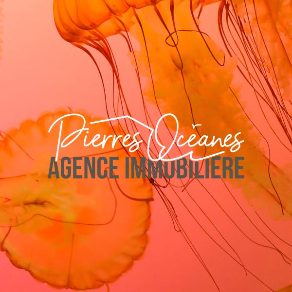 Recherche logo Pierres Pceanes